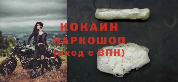 дживик Богданович