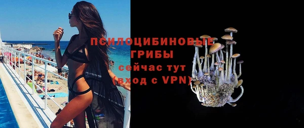 амфетамин Богородицк