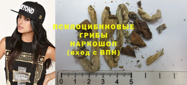 а пвп мука Бородино
