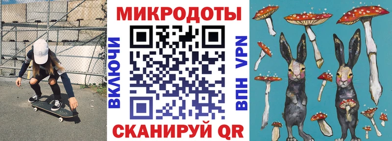 как найти наркотики  Кировск  Галлюциногенные грибы MAGIC MUSHROOMS 